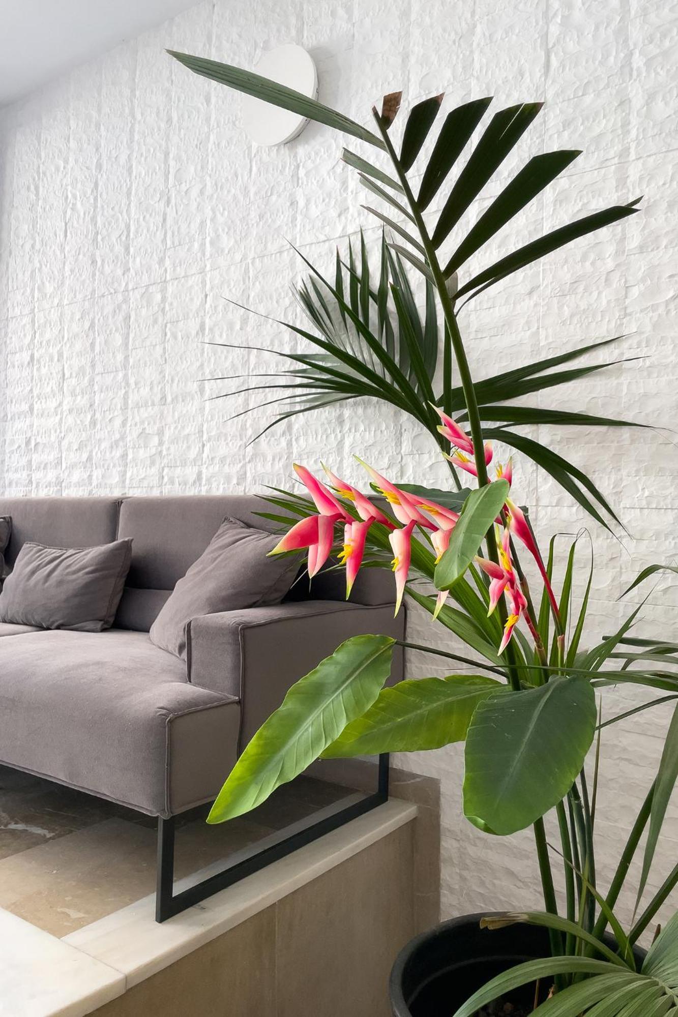 Aonia Luxurious Modern Boutique Apartments Chalkís Eksteriør billede
